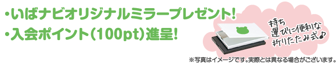 オリジナルミラー：ポイント100ptプレゼント