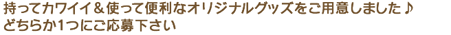 どちらか1つにご応募ください