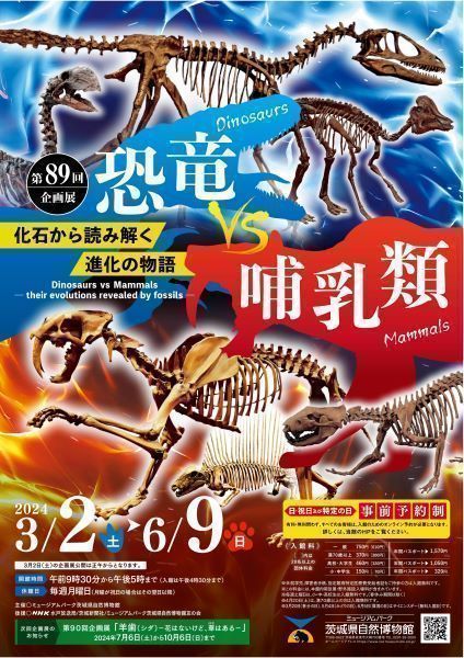 恐竜 vs 哺乳類 ～化石から読み解く進化の物語～