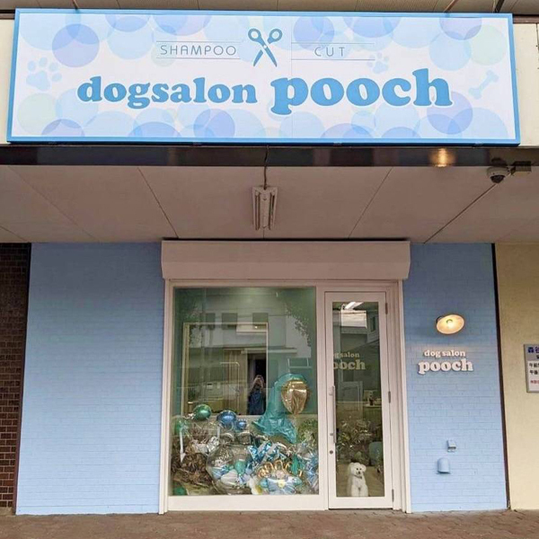 dog salon pooch