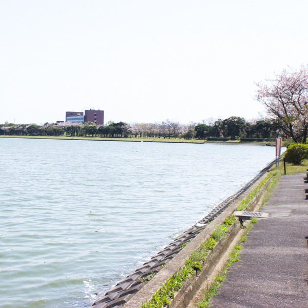 神之池緑地