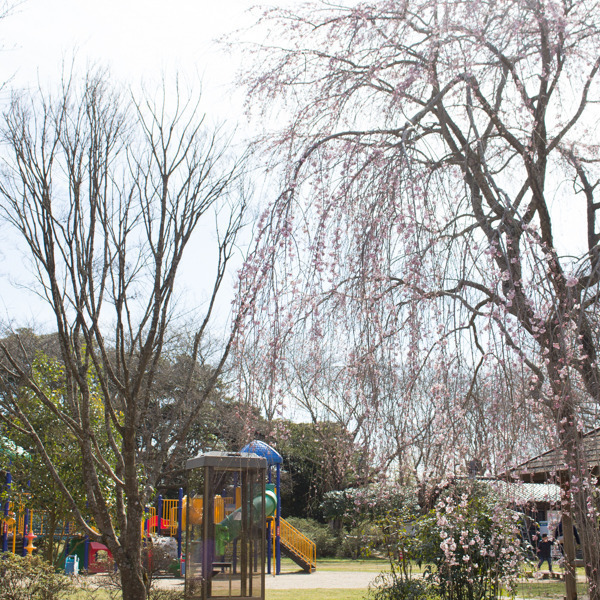 鹿島城山公園