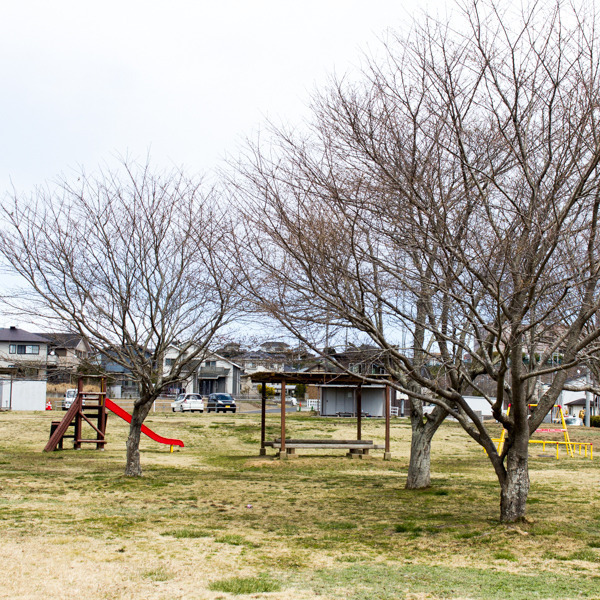 みどり中央公園