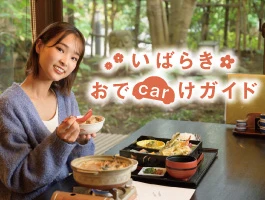 おでCarけガイド
