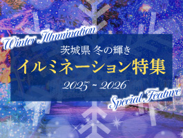 イルミネーション特集