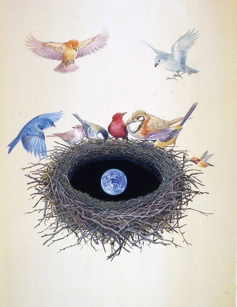 小山市立車屋美術館<br />
鈴木まもる 絵本と世界の鳥の巣展