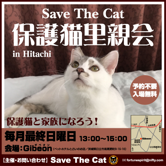 Save The Cat 保護猫里親会 in Hitachi