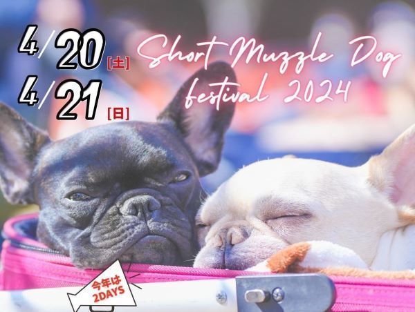 鼻短犬祭2024 – Short Muzzle Dog Festival 2024 –
