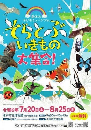 企画展「夏休み子どもミュージアム そらとぶいきもの大集合！」