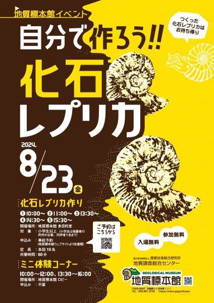 地質標本館 イベント 「自分で作ろう！！ 化石レプリカ」