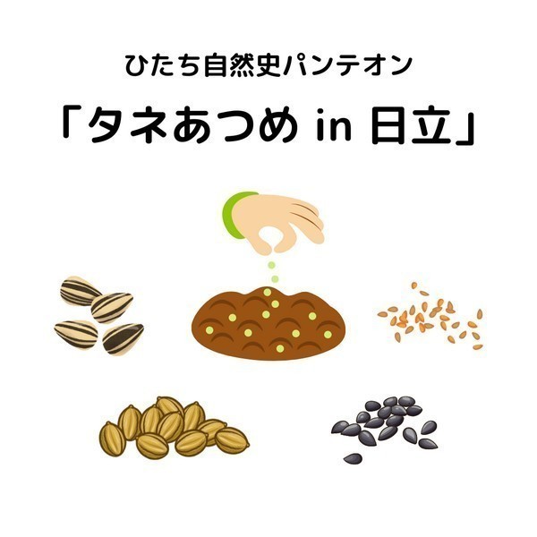 ひたち自然史パンテオン「タネあつめin日立」