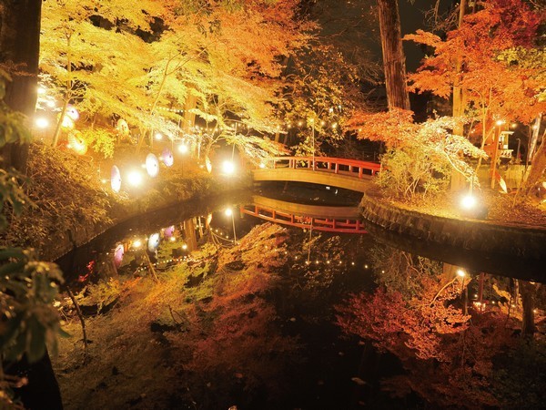 間々田八幡宮<br />
和傘飾り・和傘灯り