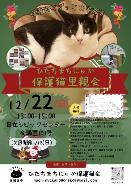 ひたちまちにゃか保護猫里親会