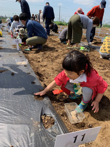 春夏野菜の種まき 収穫体験 おりっぷ