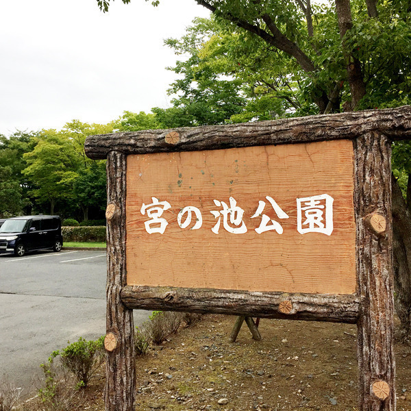 宮の池公園