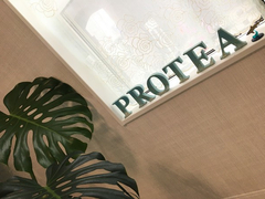 Salon Protea
