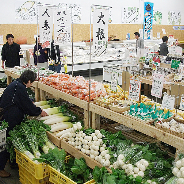 ポケットファームどきどき　つくば牛久店