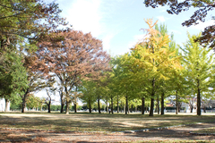 茨城県立歴史館