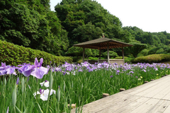 西山の里 桃源