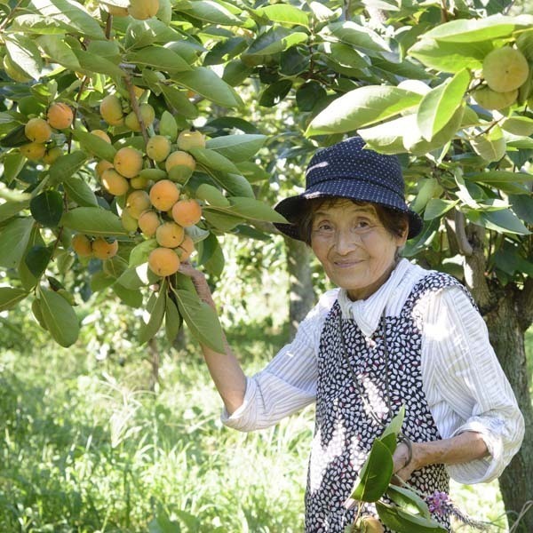 庄兵衛果樹園 かすみがうら市 果物狩り 野菜狩り いばナビ