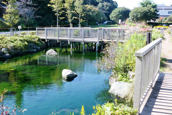 イトヨの里 泉が森公園 [日立市/公園]【いばナビ】