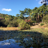 小木津山自然公園