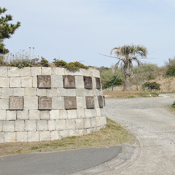 波崎海岸砂丘植物公園