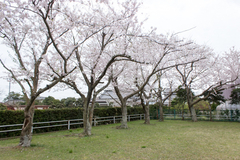 きさき児童公園