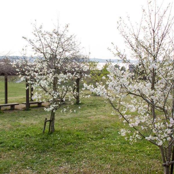 津賀城址公園