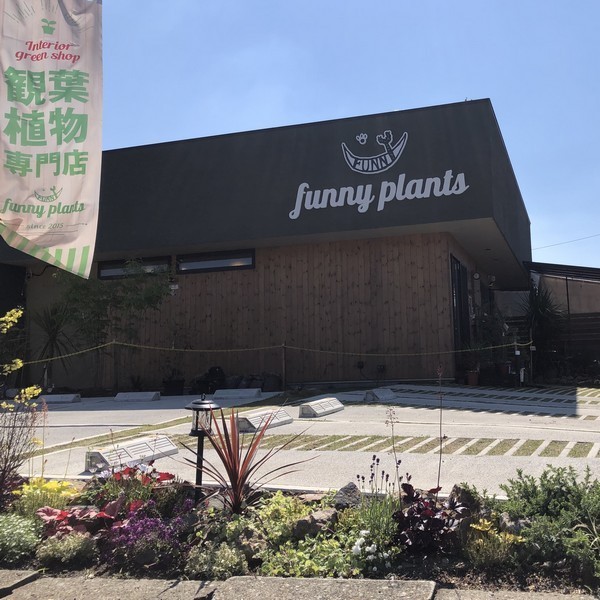 Funny Plants 小山市羽川 フラワーショップ いばナビ