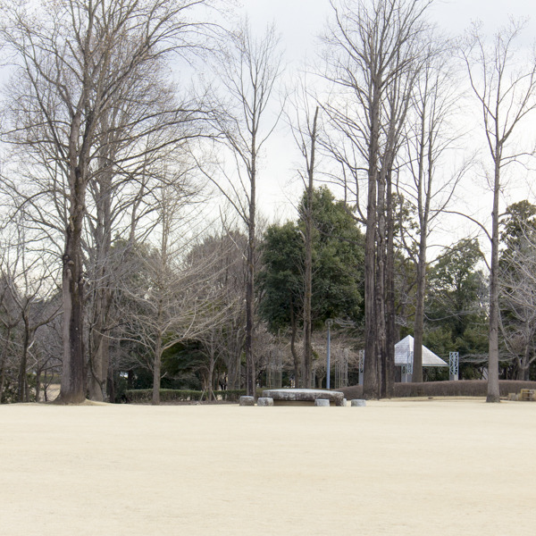 科学万博記念公園