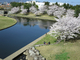 物見台から見た池と桜