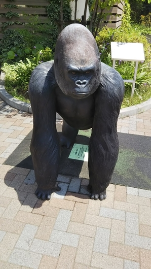 日立市かみね動物園 口コミ 評価 No 日立市 水族館 動物園 いばナビ