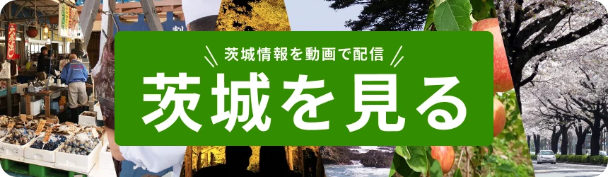 茨城を見る