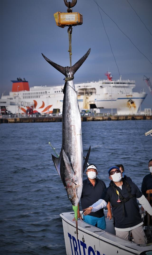 大洗インターナショナルフィッシングフェスティバル カジキ釣り