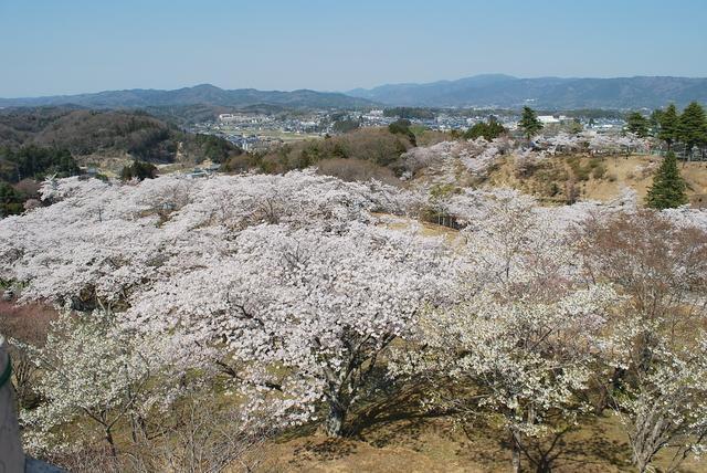 西山公園(常陸太田市)