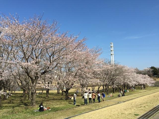 科学万博記念公園(つくば市)