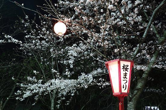神之池緑地(神栖市)