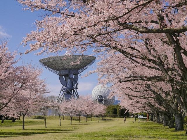 高萩市衛星通信記念公園(さくら宇宙公園) (高萩市)