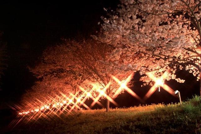 辰ノ口親水公園(常陸大宮市)