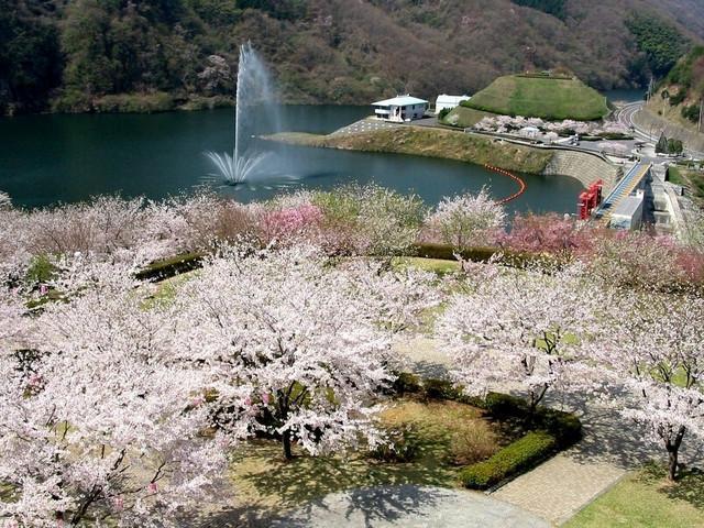 日立市かみね公園(日立市)