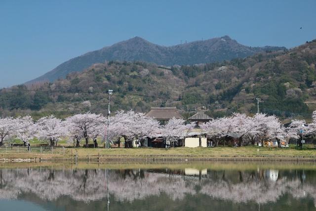 北条大池(つくば市)