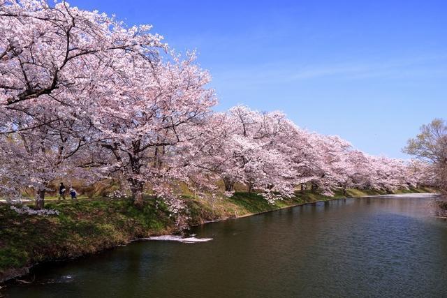 福岡堰(つくばみらい市)