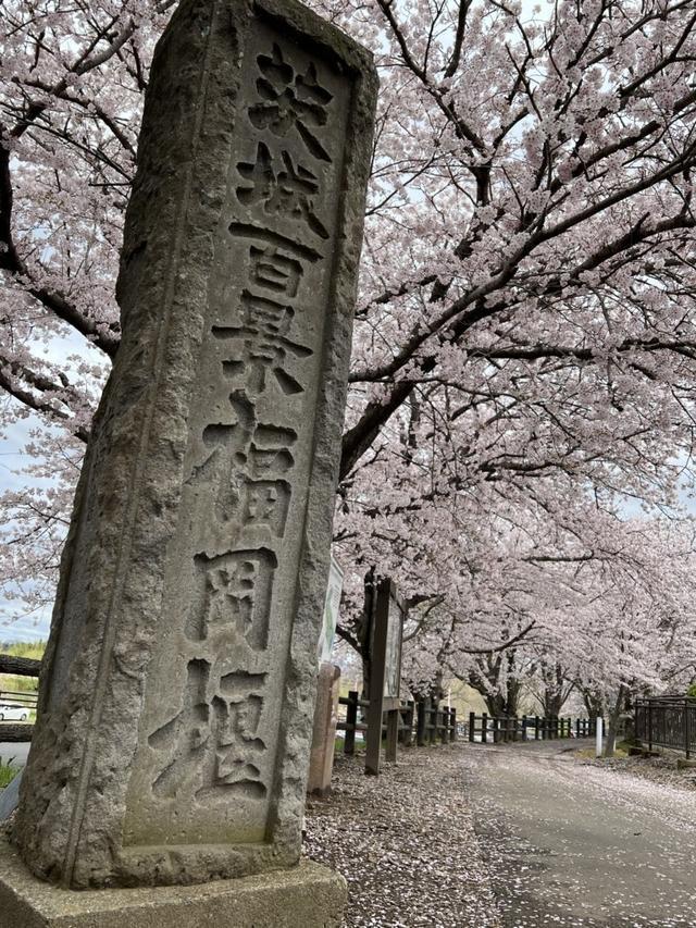 福岡堰(つくばみらい市)