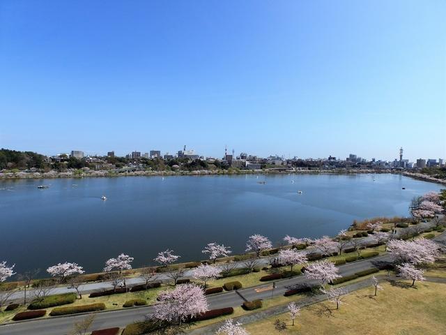 千波公園(水戸市)