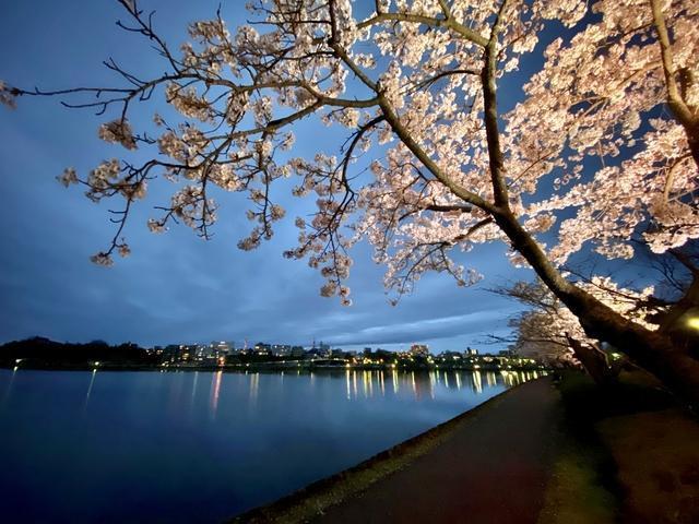 千波公園(水戸市)