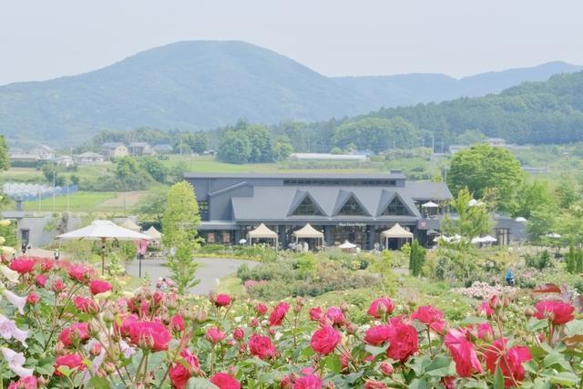 茨城県民の日 割引 いばらきフラワーパーク
