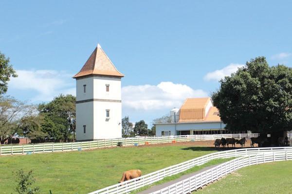 茨城県民の日 入園 割引 こもれび森のイバライド