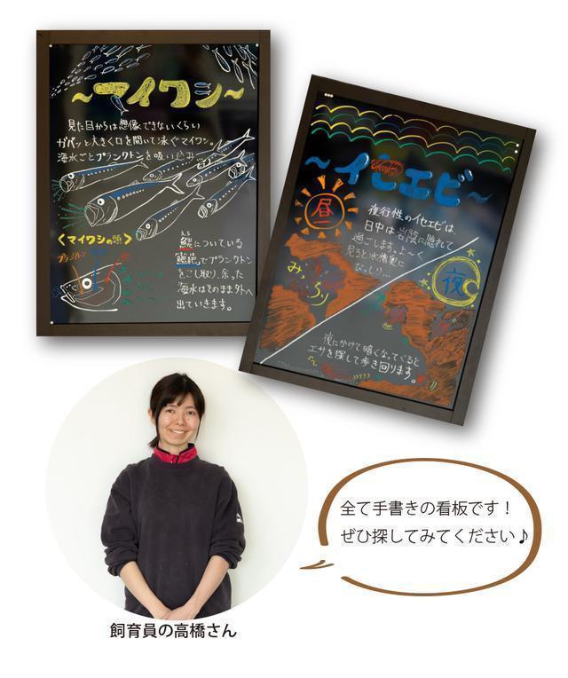 アクアワールド 大洗 茨城