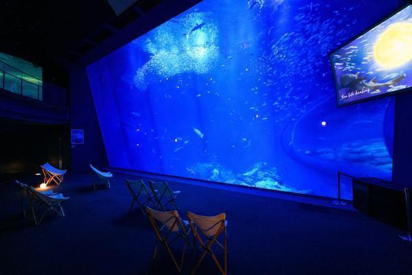 アクアワールド 大洗 茨城 水族館